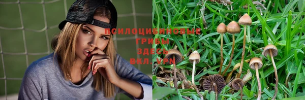 скорость Алзамай